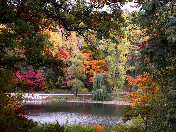 hidden_lake_gardens_2548_jpg_600x.jpg