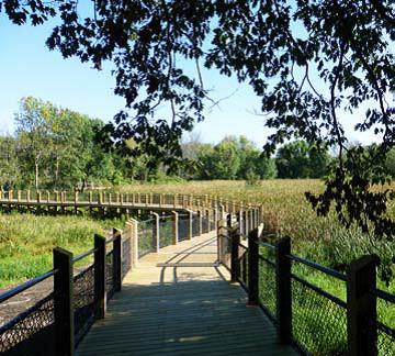 marsh_boardwalk_2.jpg