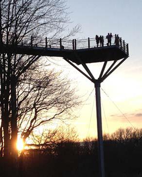 marsh_overlook_tower.jpg