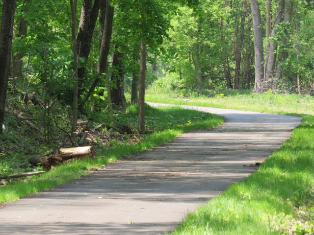 trail.jpg