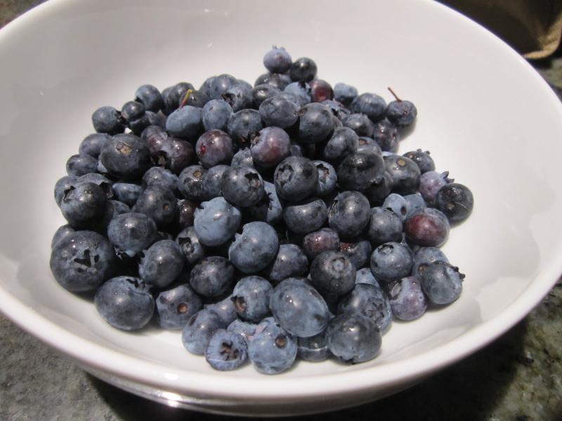 week_4_blueberry1.jpg
